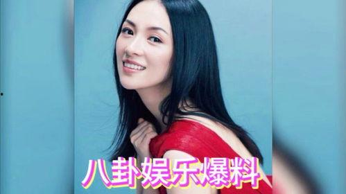 娱乐吃瓜酱明星八卦小说