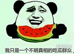 娱乐都是吃瓜群众的,揭秘吃瓜群众的狂欢盛宴