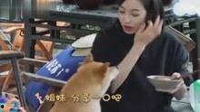 吃瓜网娱乐八卦视频,娱乐圈最新八卦视频大放送！