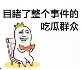 娱乐吃瓜酱川哥文案